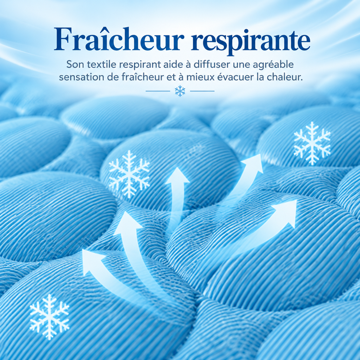 Tapis Rafraîchissant pour Chien et Chat — Fraîcheur Respirante, 4 Tailles