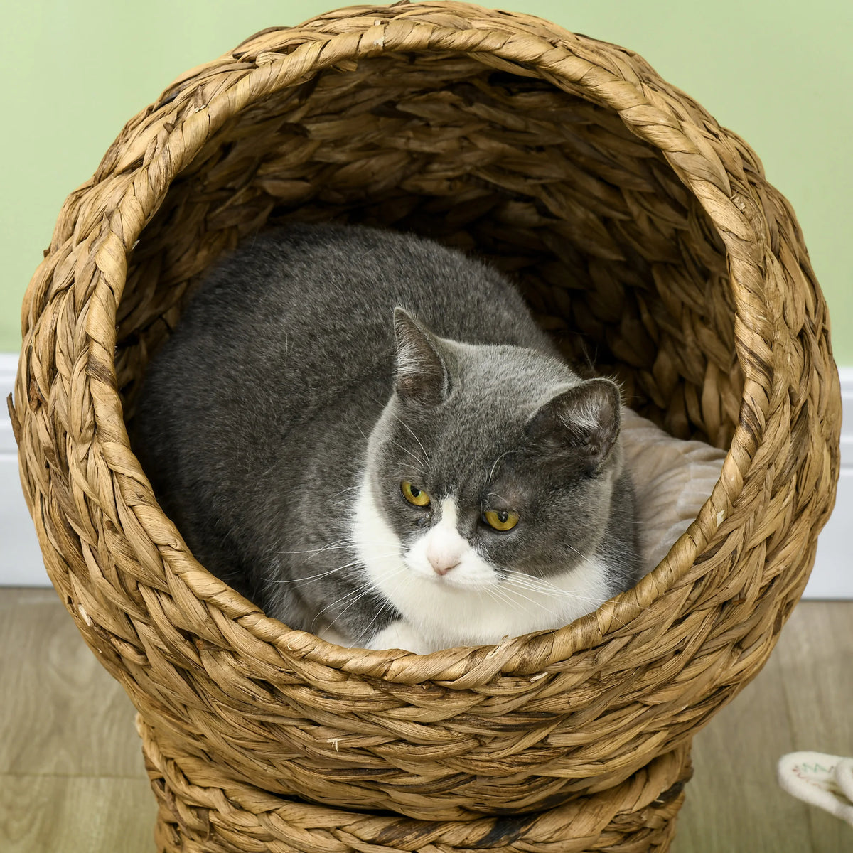 Panier Nid Rond Tressé pour Petit Chien — Coussin Amovible