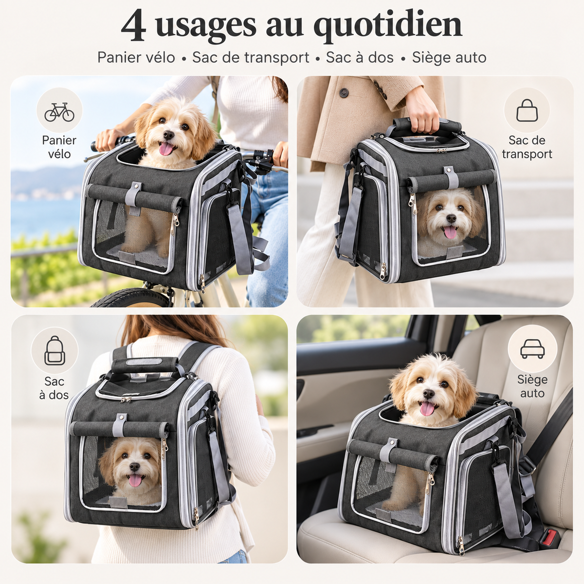 4 usages au quotidien du panier de vélo pour chien : panier vélo, sac de transport, sac à dos, siège auto