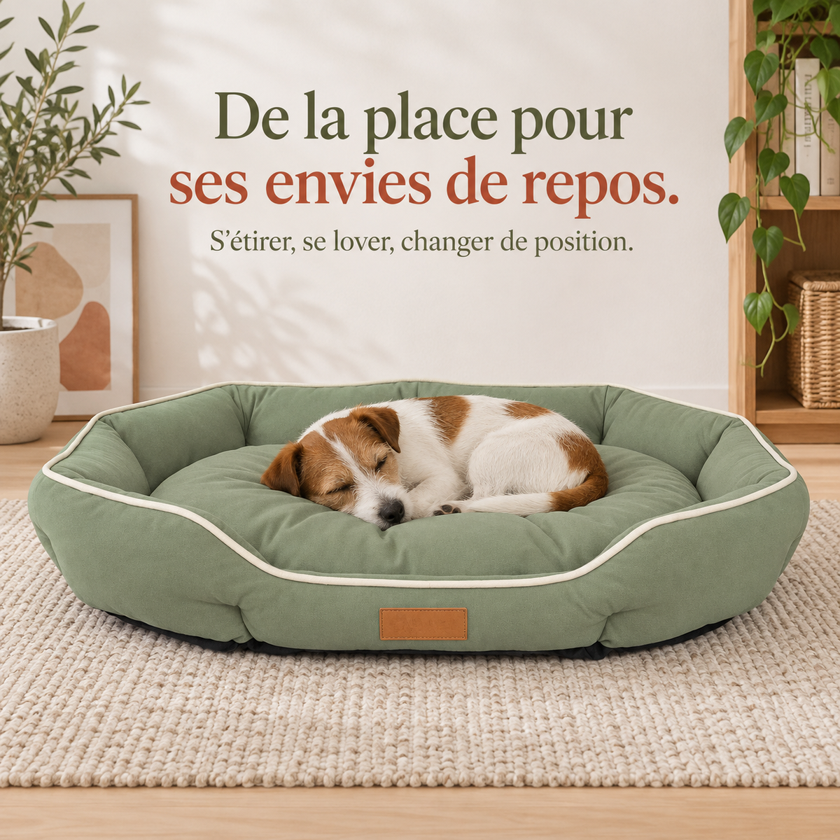 Panier sofa grand espace velours côtelé PaniHome vert sauge — entrée abaissée, coin douillet