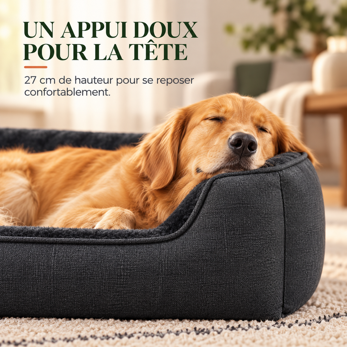 Détail des rebords rehaussés de 27 cm servant d'appui pour la tête du chien