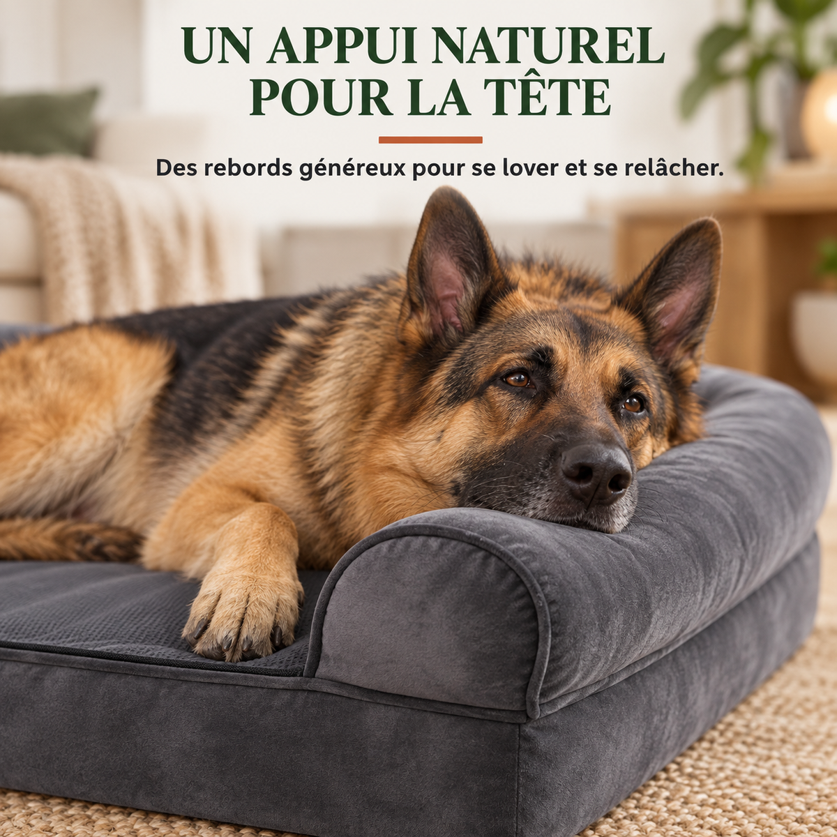 Berger allemand la tête posée sur le rebord du panier orthopédique pour chien