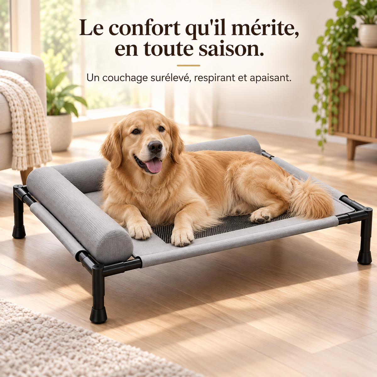 Panier surélevé pour chien — chien installé, aide au choix de la taille
