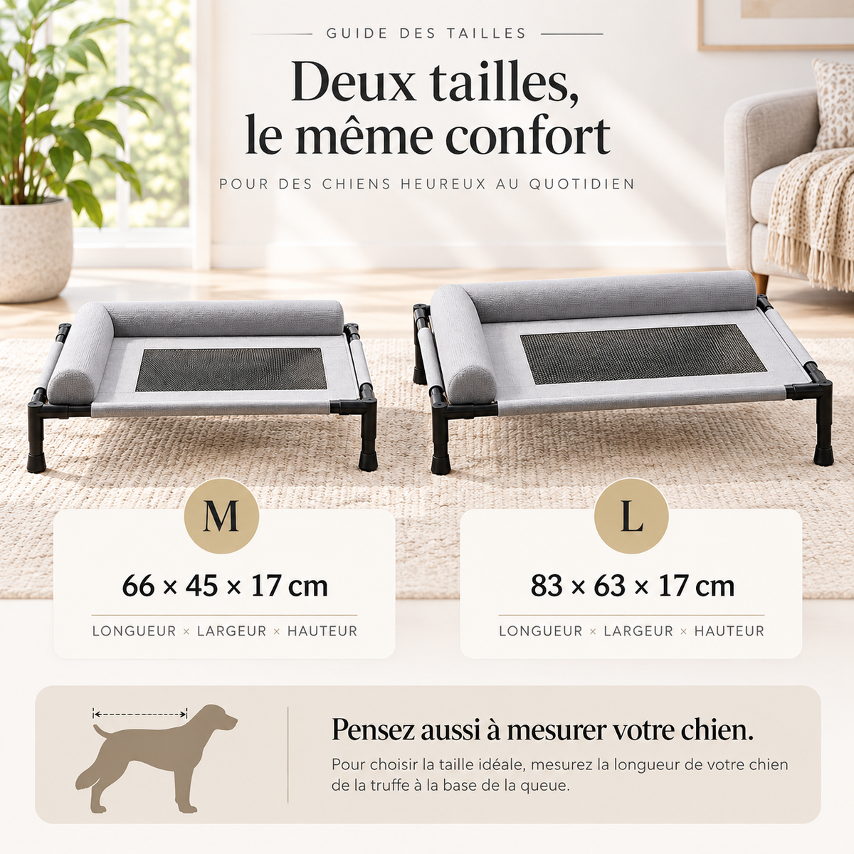 Guide des tailles du panier surélevé pour chien - M, L