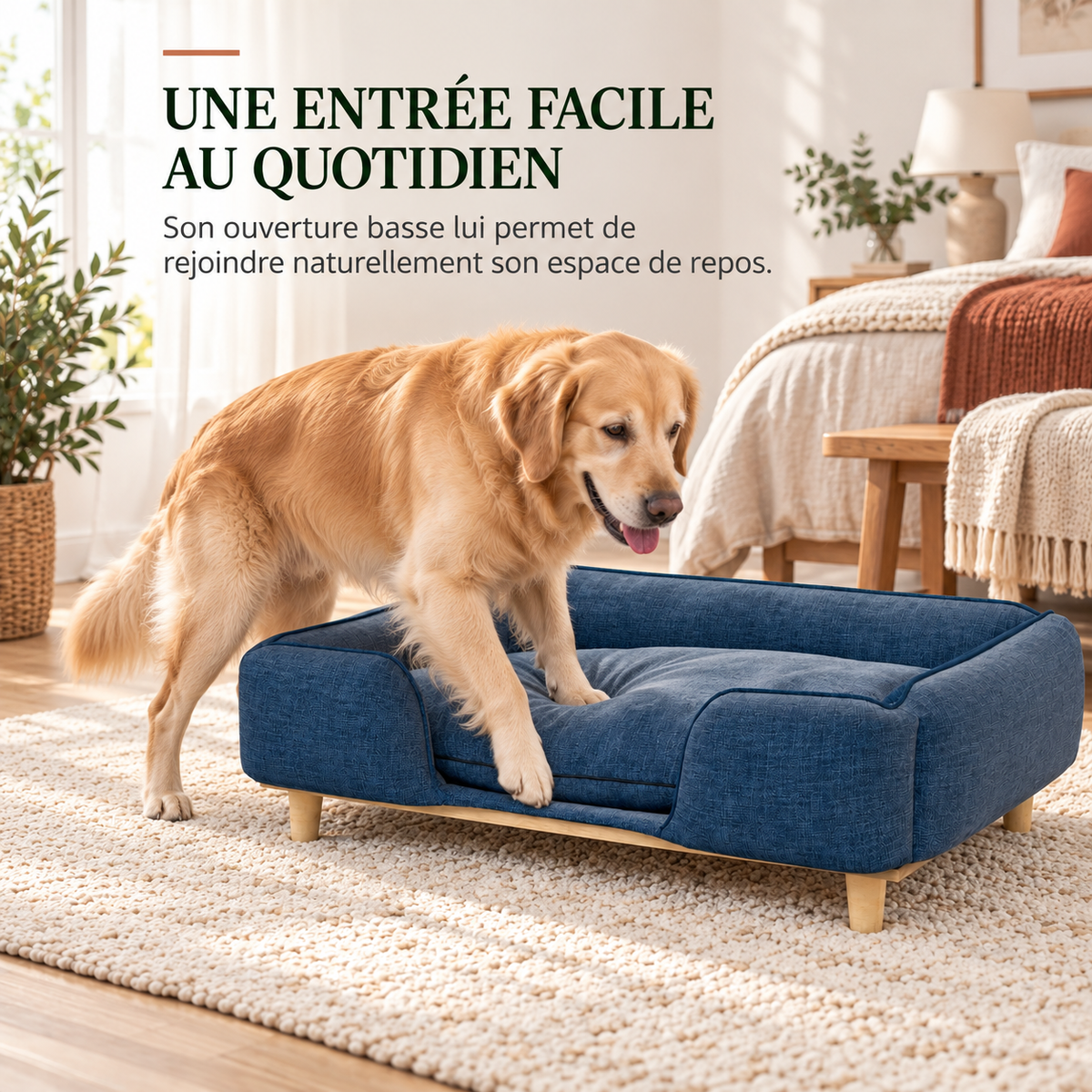 Chien montant facilement dans le sofa design bleu marine grâce à son ouverture basse