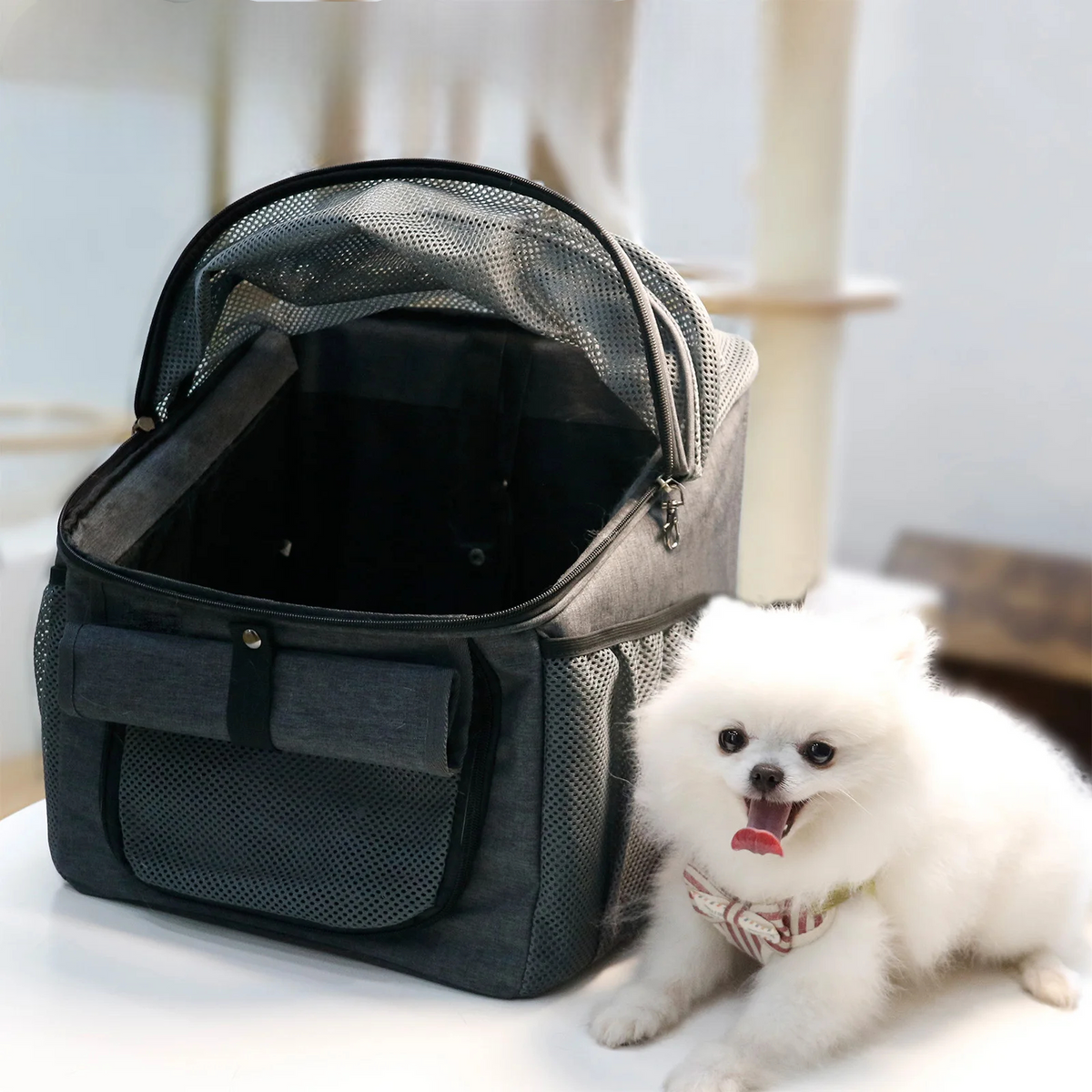 Panier de Vélo pour Chien 2-en-1 — Sac à Dos Oxford, Rangements Multiples