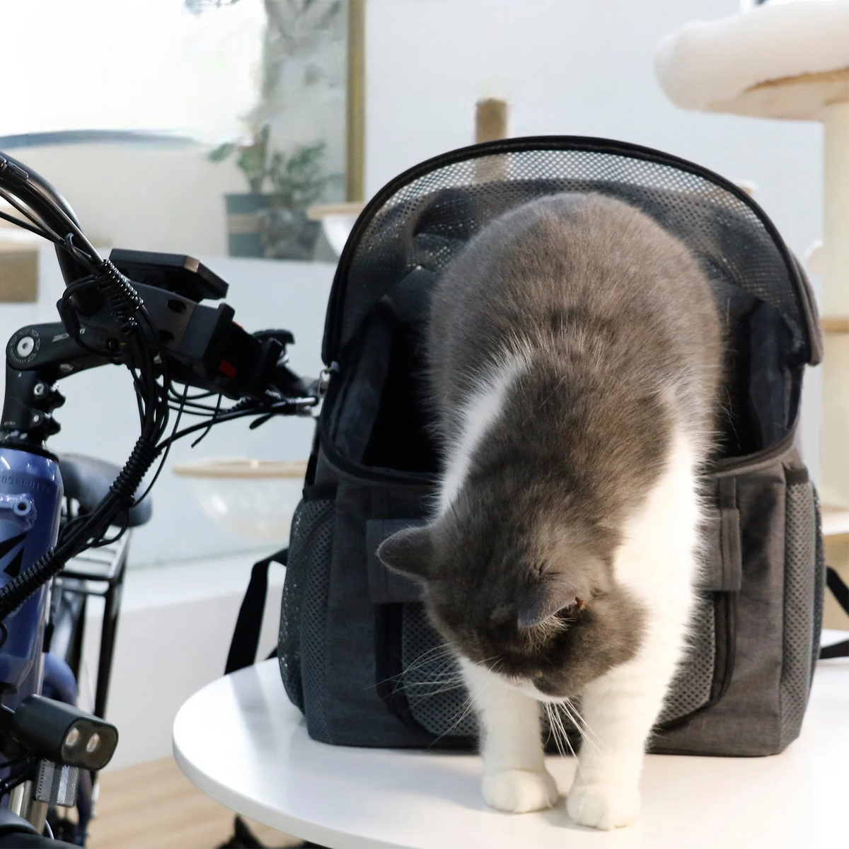 Panier de Vélo pour Chien 2-en-1 — Sac à Dos Oxford, Rangements Multiples