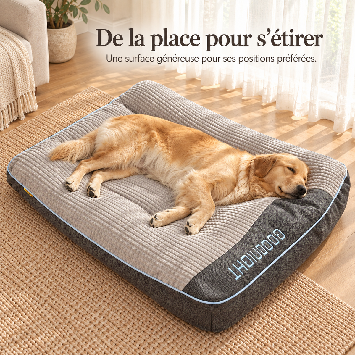 Panier Matelas XXL pour Chien — Velours Côtelé Épais, Rebord Galbé, 4 Tailles