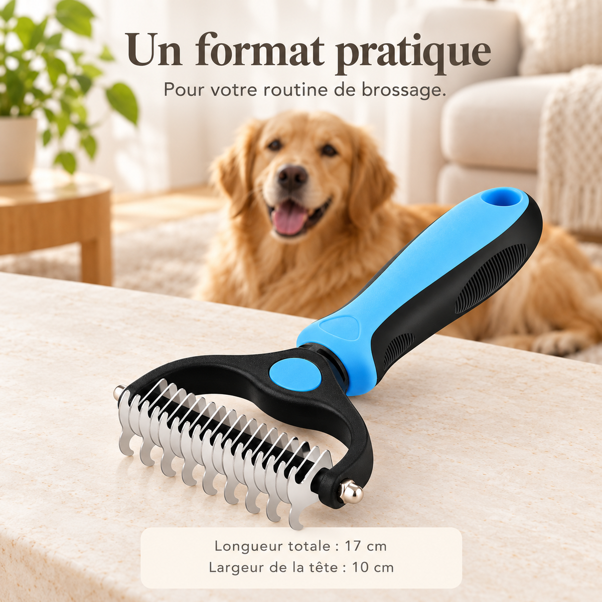 Brosse Démêlante pour Chien et Chat — Double Face Anti-Nœuds et Anti-Poils Morts
