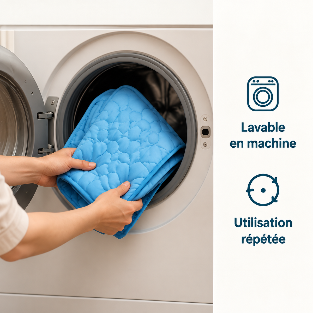 Tapis Rafraîchissant pour Chien et Chat — Fraîcheur Respirante, 4 Tailles