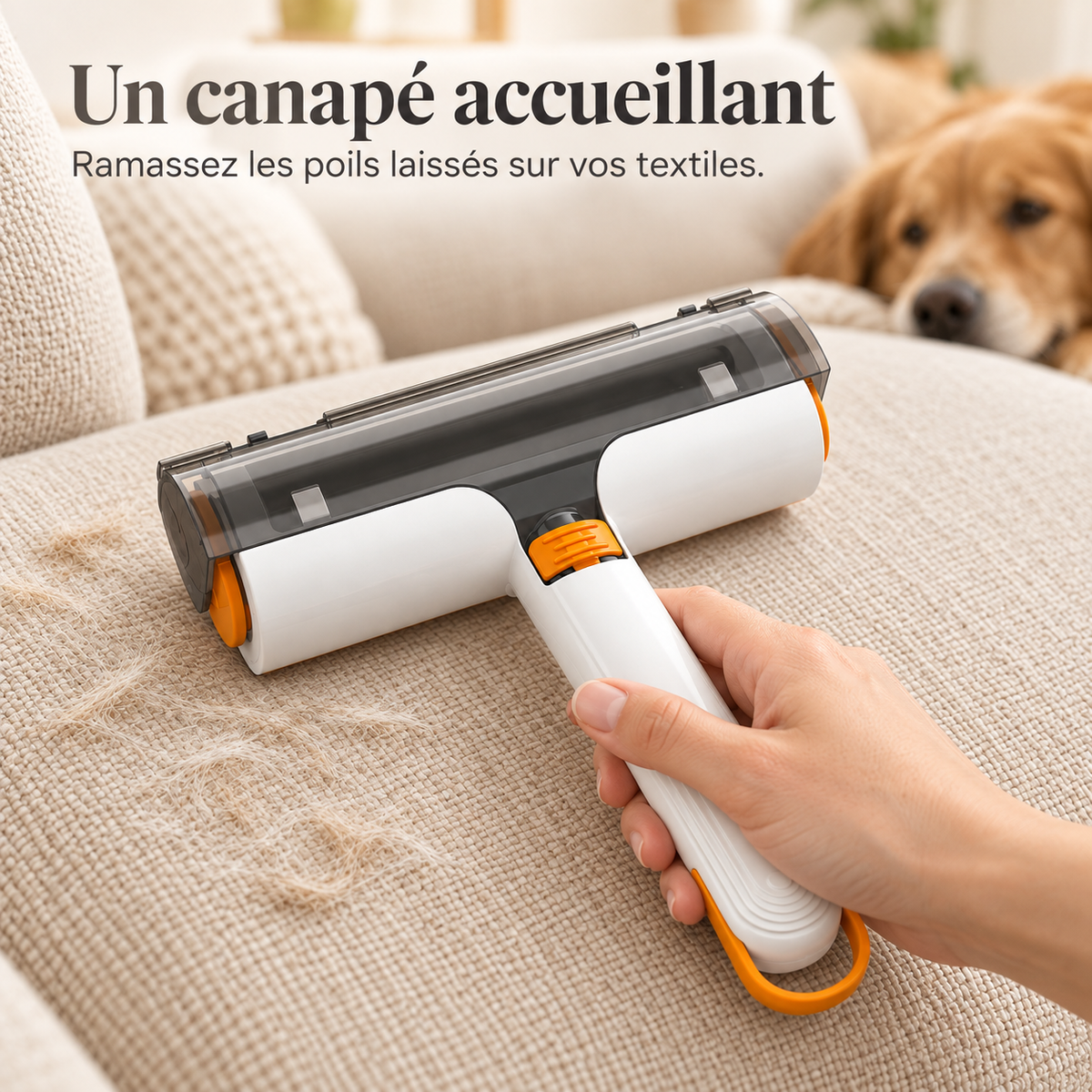 Rouleau Anti-Poils pour Chien et Chat — Réservoir Intégré, Rinçable à l'Eau