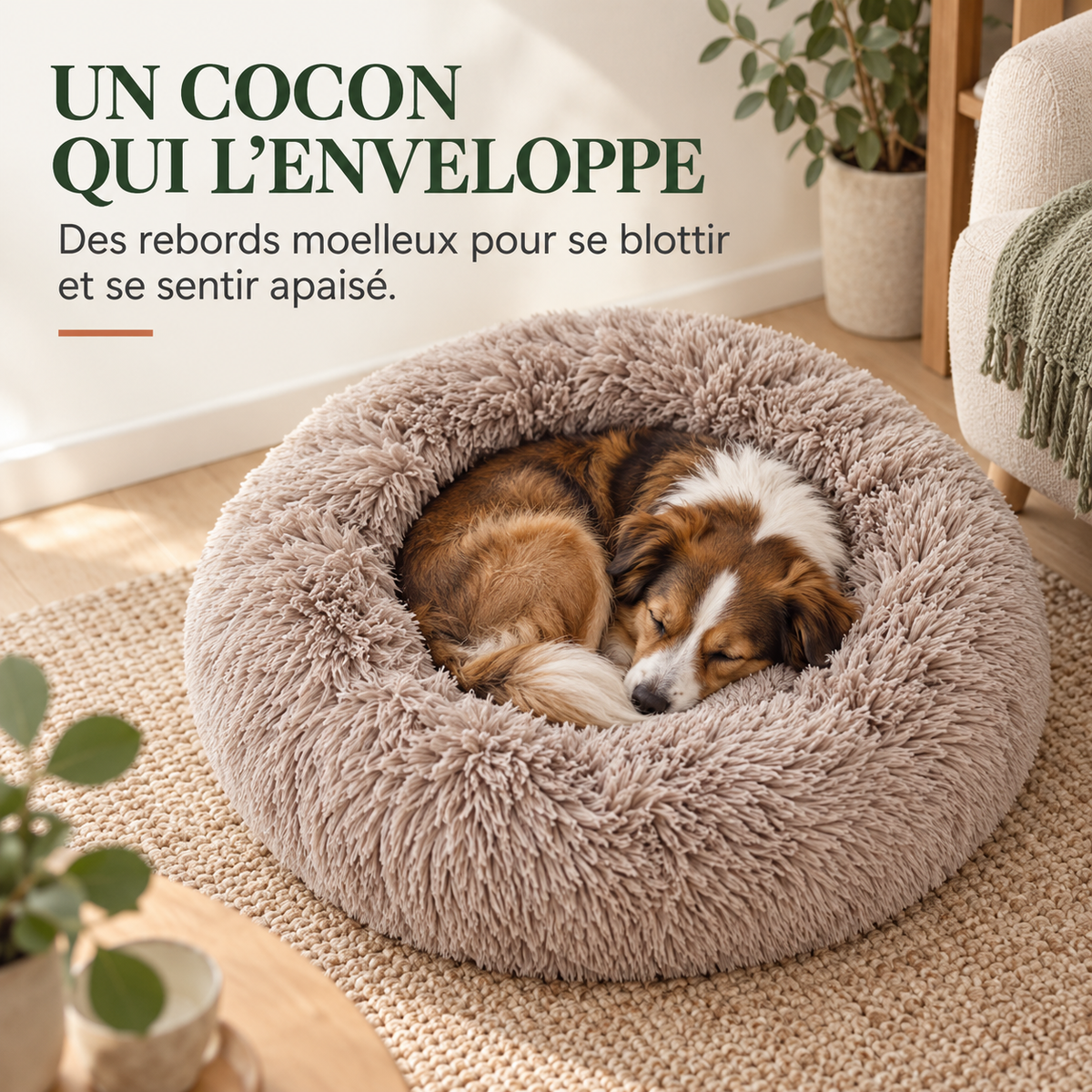 Panier pour Chien Rond Peluche — 5 Tailles