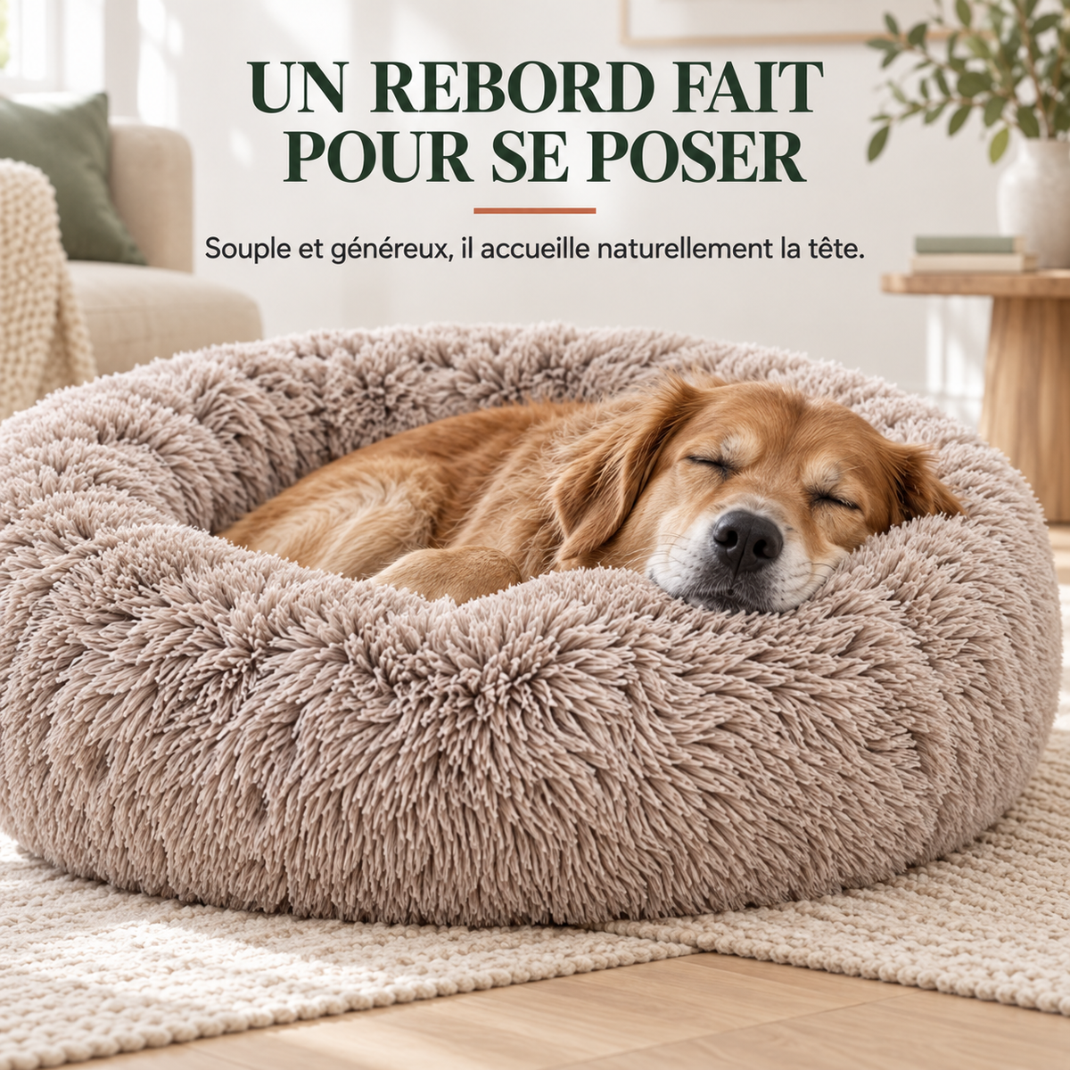 Panier pour Chien Rond Peluche — 5 Tailles