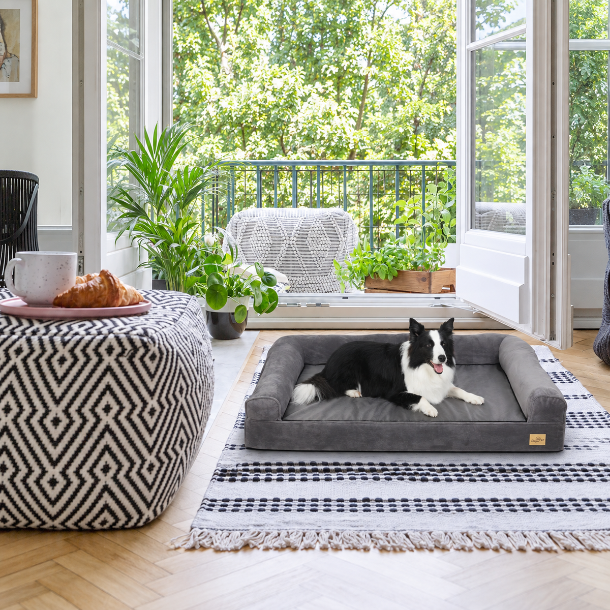 Panier pour Chien Orthopédique Grand Format — Jusqu'à 60 kg