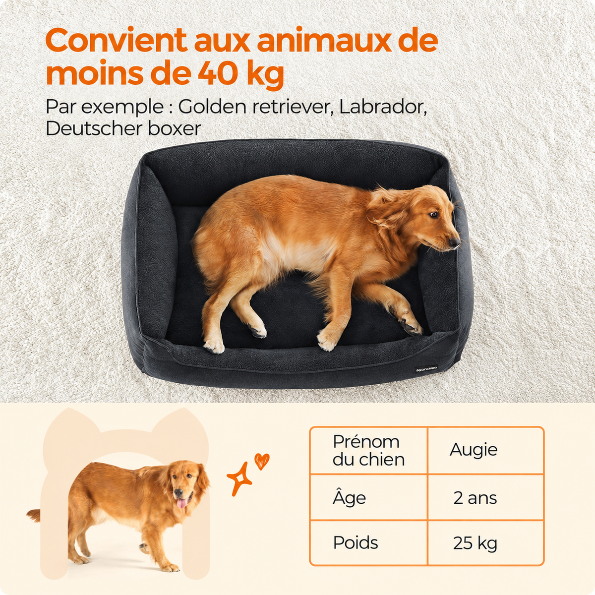 Panier pour Chien Grand Format — Rebords Rehaussés