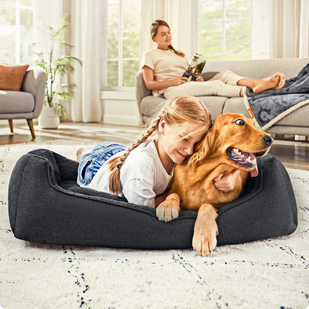 Panier pour Chien Grand Format — Rebords Rehaussés