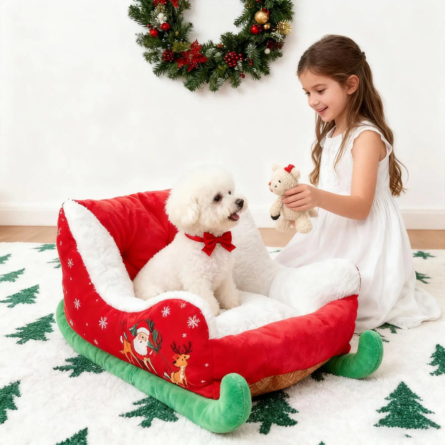 Panier Chien Forme Traîneau — Édition Festive