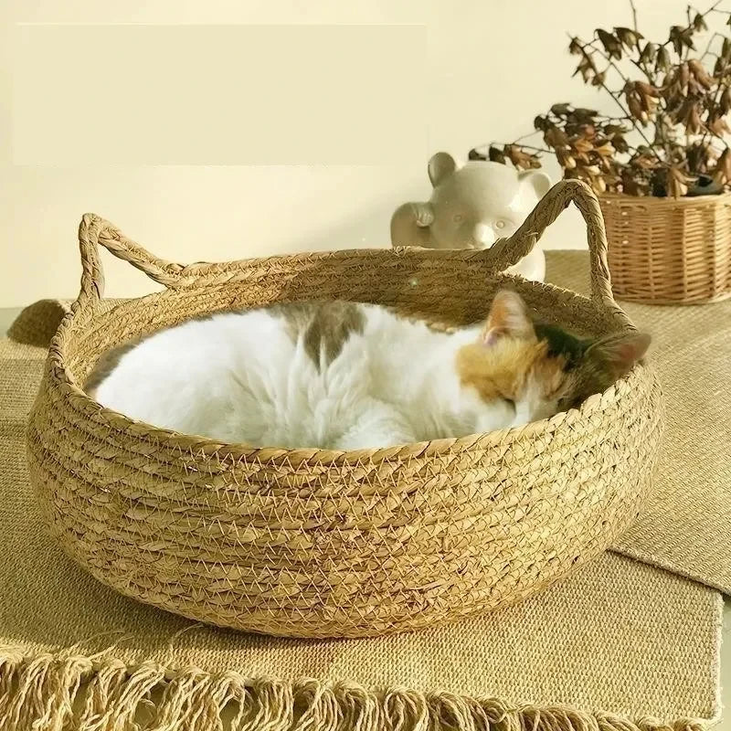 Panier Nid en Fibre Tressée pour Petit Chien — Coussin Chaud Amovible