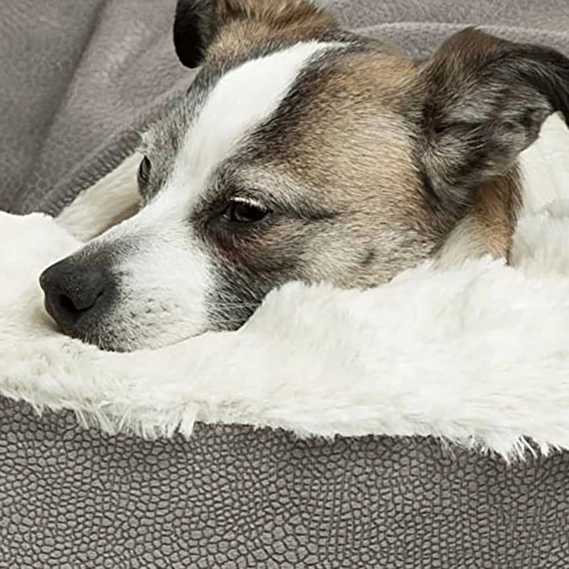 Panier pour Chien Niche Fermée Velours Côtelé — Couverture Intégrée