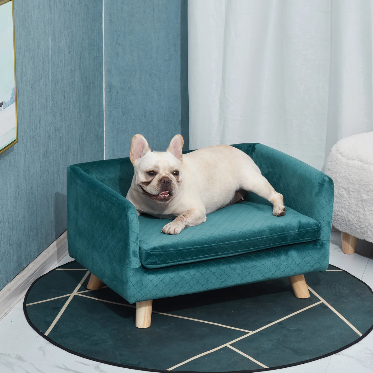 PawHut Couch dog dog bed dog Scandinavian design cushion soft drink feet solid dim. 64x45x36 cm Velvet Blue Duck