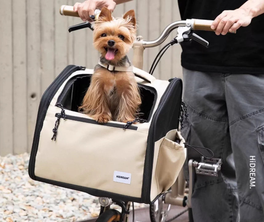 Yorkshire dans son panier de vélo fixé sur le guidon