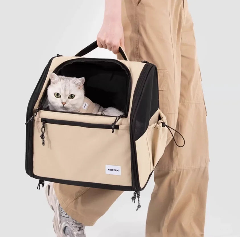 Panier de vélo pour chien utilisé comme sac à main, porté avec un chat