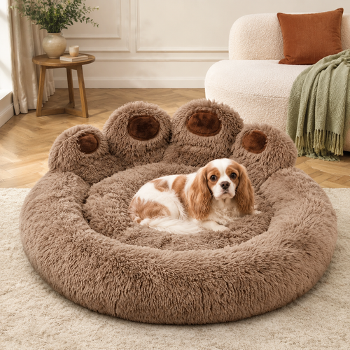 Cavalier King Charles assis dans le panier en forme de patte PaniHome