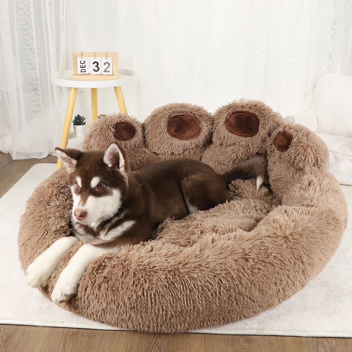 Chiot husky installé dans le panier en forme de patte PaniHome