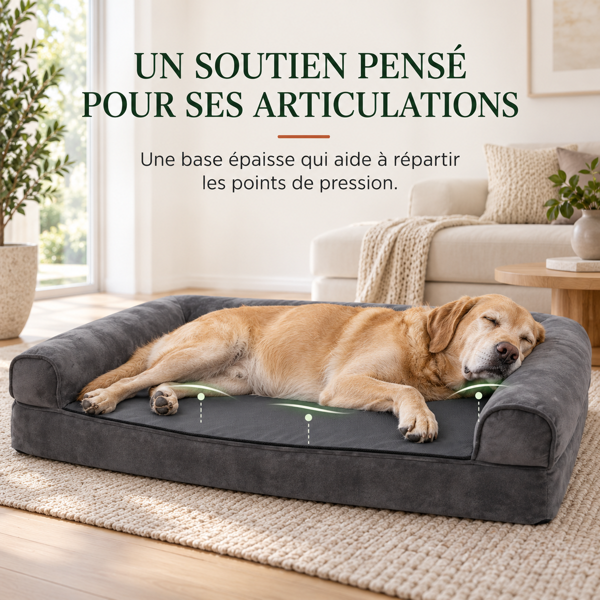 Base épaisse en mousse orthopédique du panier pour chien, chien endormi