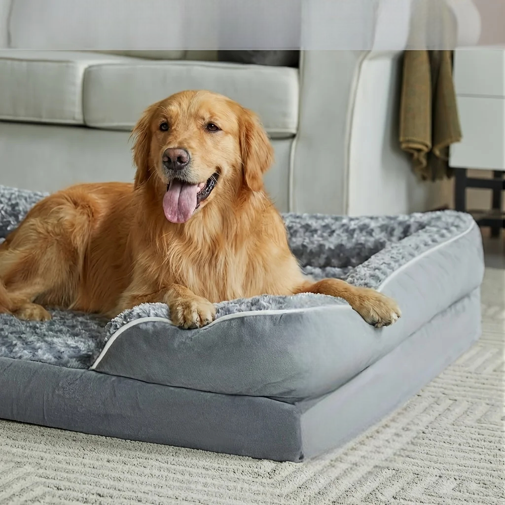 Golden retriever installé dans le panier orthopédique, pattes posées sur le rebord rembourré