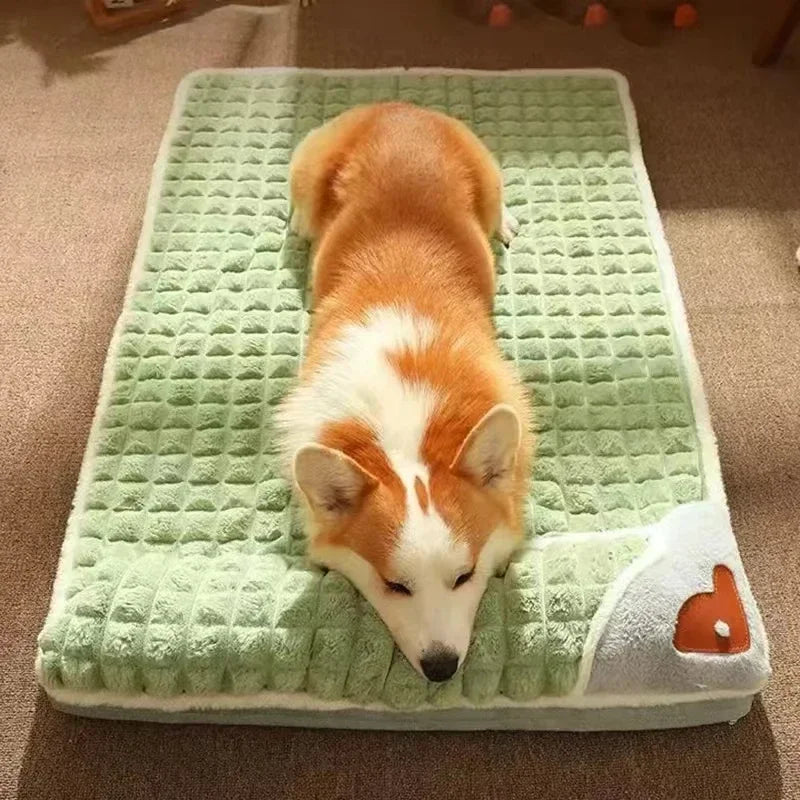 Corgi allongé sur le coussin orthopédique vert, photo d'usage réel