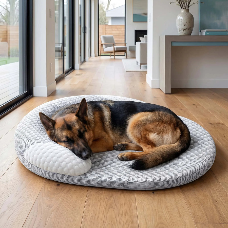 Berger allemand endormi dans le panier Ice Silk, intérieur lumineux avec baies vitrées