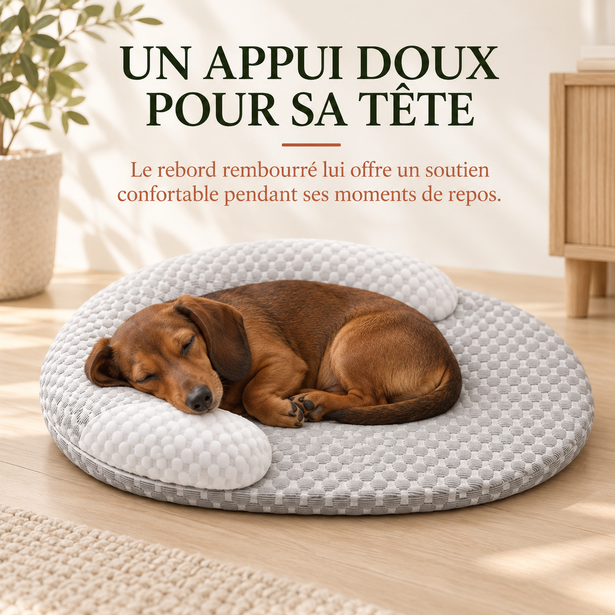 Teckel endormi la tête posée sur le rebord rembourré du panier Ice Silk