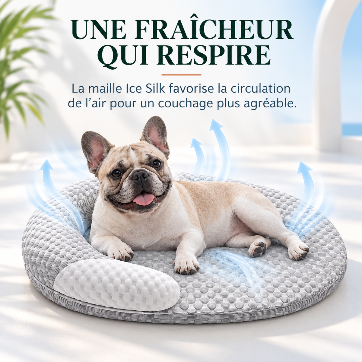 Bouledogue français allongé sur le panier Ice Silk, flèches illustrant la circulation de l'air à travers la maille