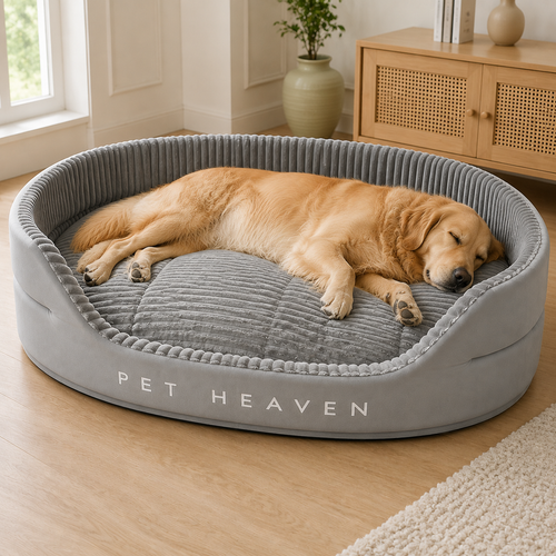 Chien lové et endormi dans le panier ovale en velours côtelé, près d'une fenêtre
