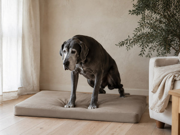 Matelas bas