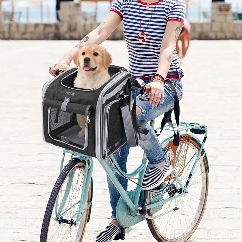 Panier de vélo pour chien, golden retriever installé sur le vélo