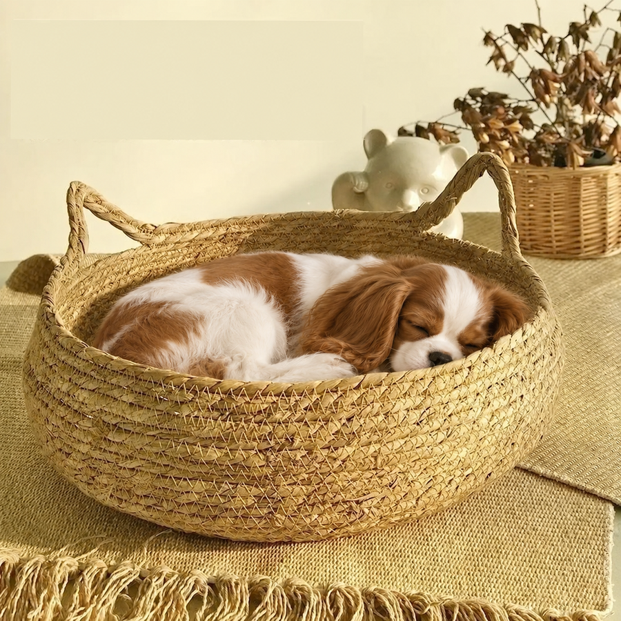 Chiot endormi dans le panier rond en bambou PaniHome avec coussin