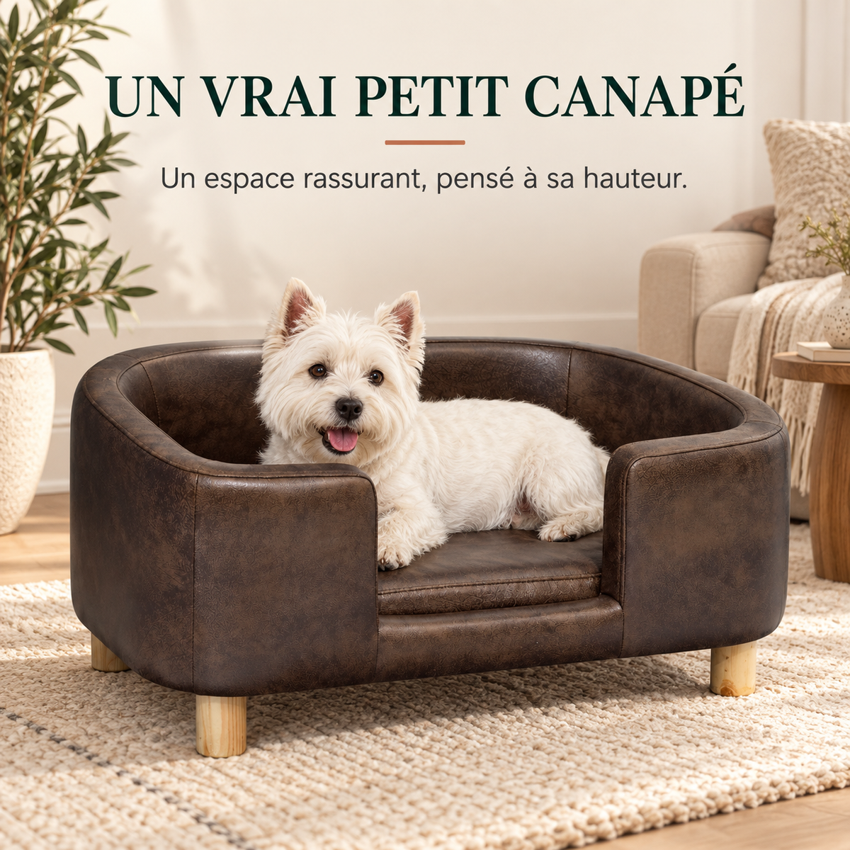 Carlin endormi dans le sofa canapé pour petit chien en simili cuir chocolat