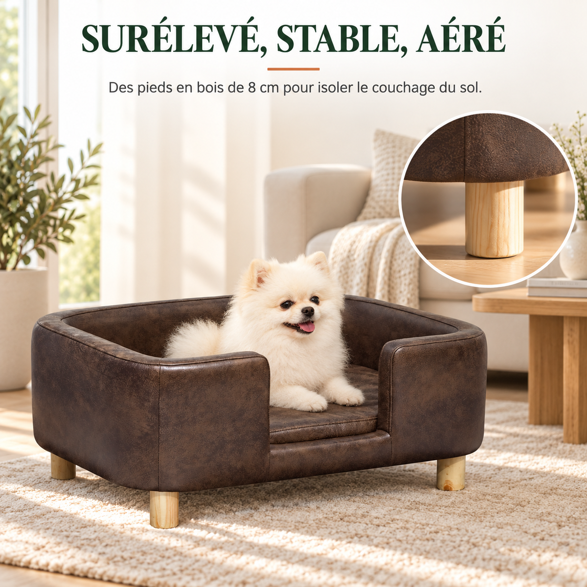 Coussin amovible et lavable du sofa canapé pour petit chien